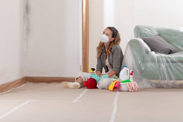 Reliable Mold Remediation contractor in Carver, MN by 24 Hour Mold Removal